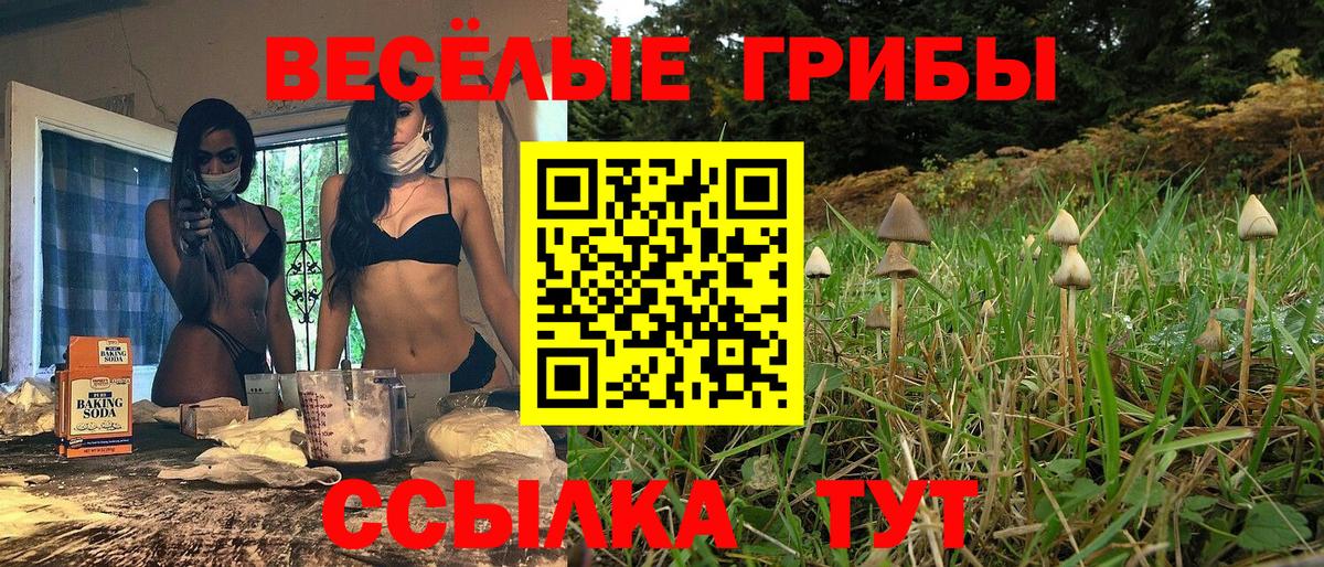 Псилоцибиновые грибы Cubensis Унеча